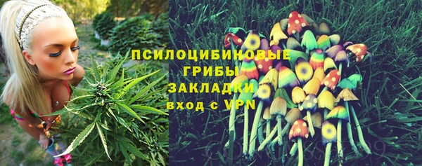 mdpv Володарск