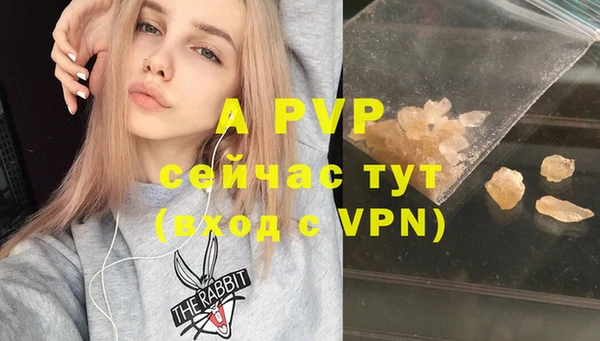 сатива Волосово