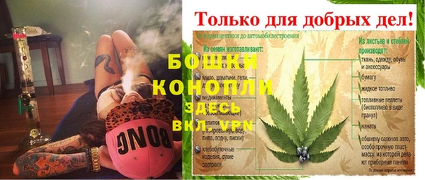 сатива Волосово