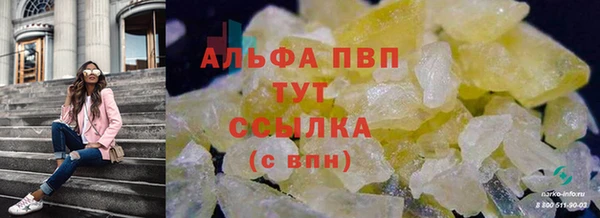 сатива Волосово