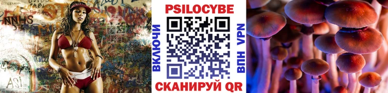 Псилоцибиновые грибы MAGIC MUSHROOMS  закладка  Весьегонск 